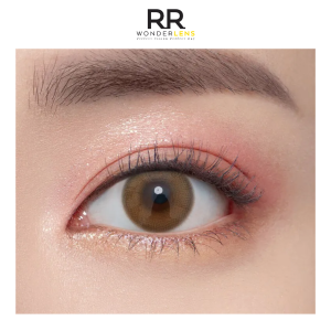 Olens ending brown daily lens 10pcs 1box